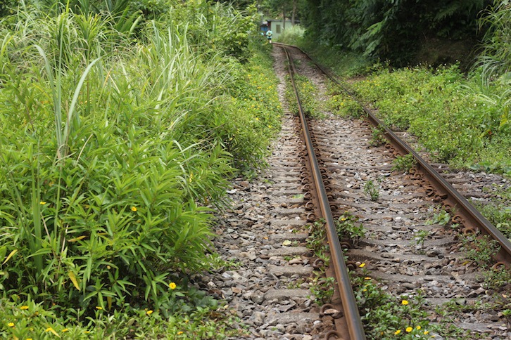 IMG_8090.JPG IMG_8090.JPG