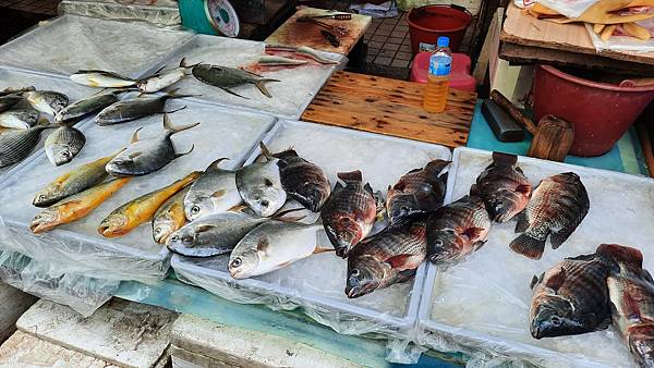 20220803_093808.jpg 20220803_093808.jpg