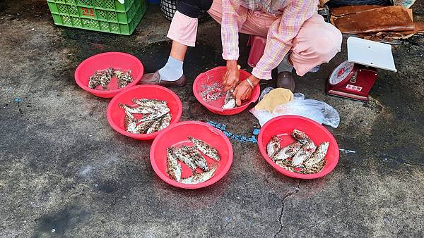 20220803_093823.jpg 20220803_093823.jpg