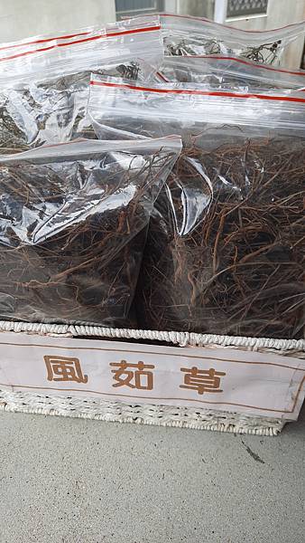 20220804_122840.jpg 20220804_122840.jpg