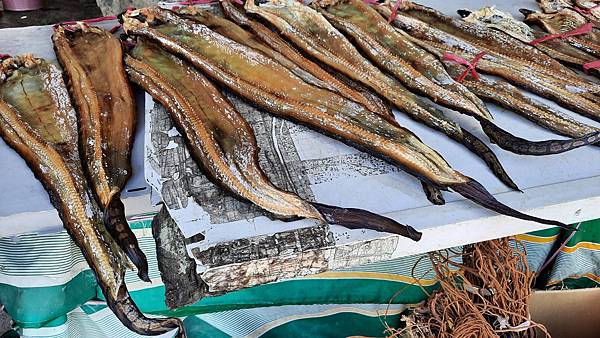 20220804_132933.jpg 20220804_132933.jpg