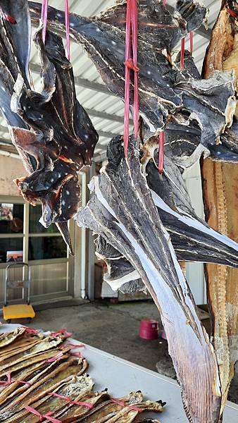 20220804_133148.jpg 20220804_133148.jpg