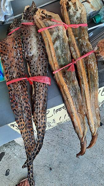 20220804_133404.jpg 20220804_133404.jpg