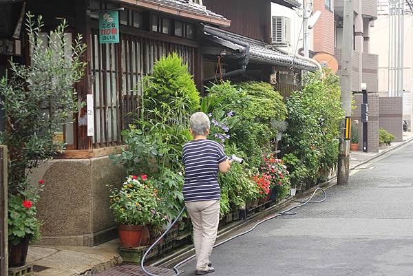 京都心靈散步-京都早晨。從四条烏丸往神泉苑。人情喫茶チロル