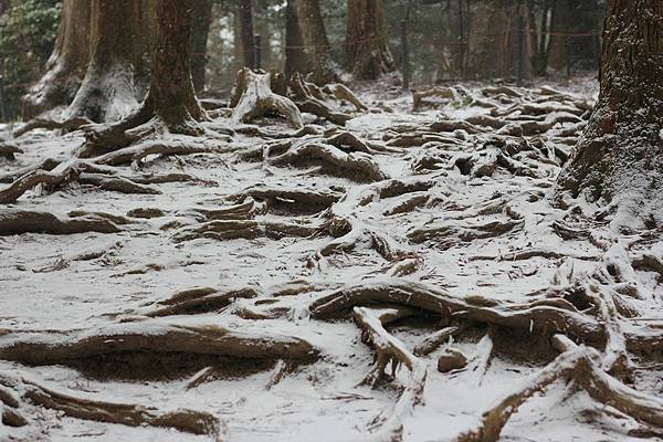 京都迷解鎖夢幻一日-鞍馬山遇大雪。貴船神社雪之參拜道