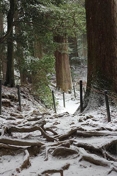 京都迷解鎖夢幻一日-鞍馬山遇大雪。貴船神社雪之參拜道