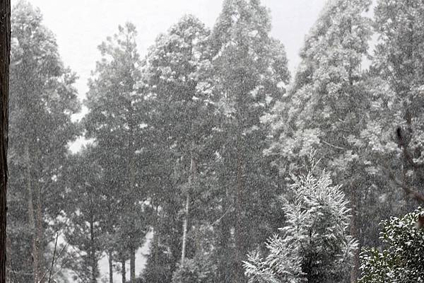 京都迷解鎖夢幻一日-鞍馬山遇大雪。貴船神社雪之參拜道