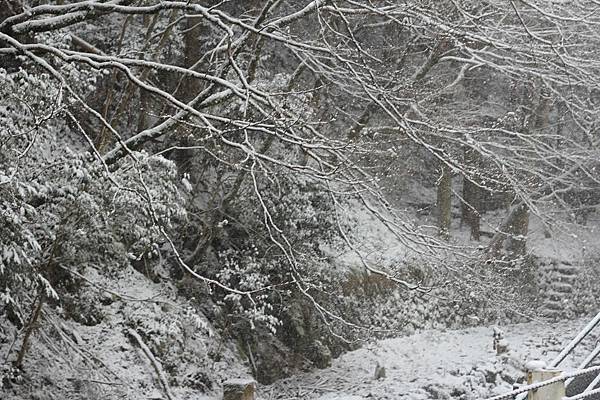 京都迷解鎖夢幻一日-鞍馬山遇大雪。貴船神社雪之參拜道
