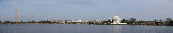 DC cherry blossom Pano view