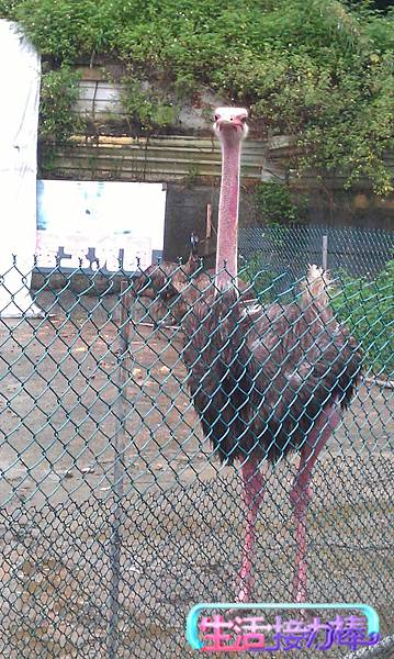 IMAG0290 IMAG0290