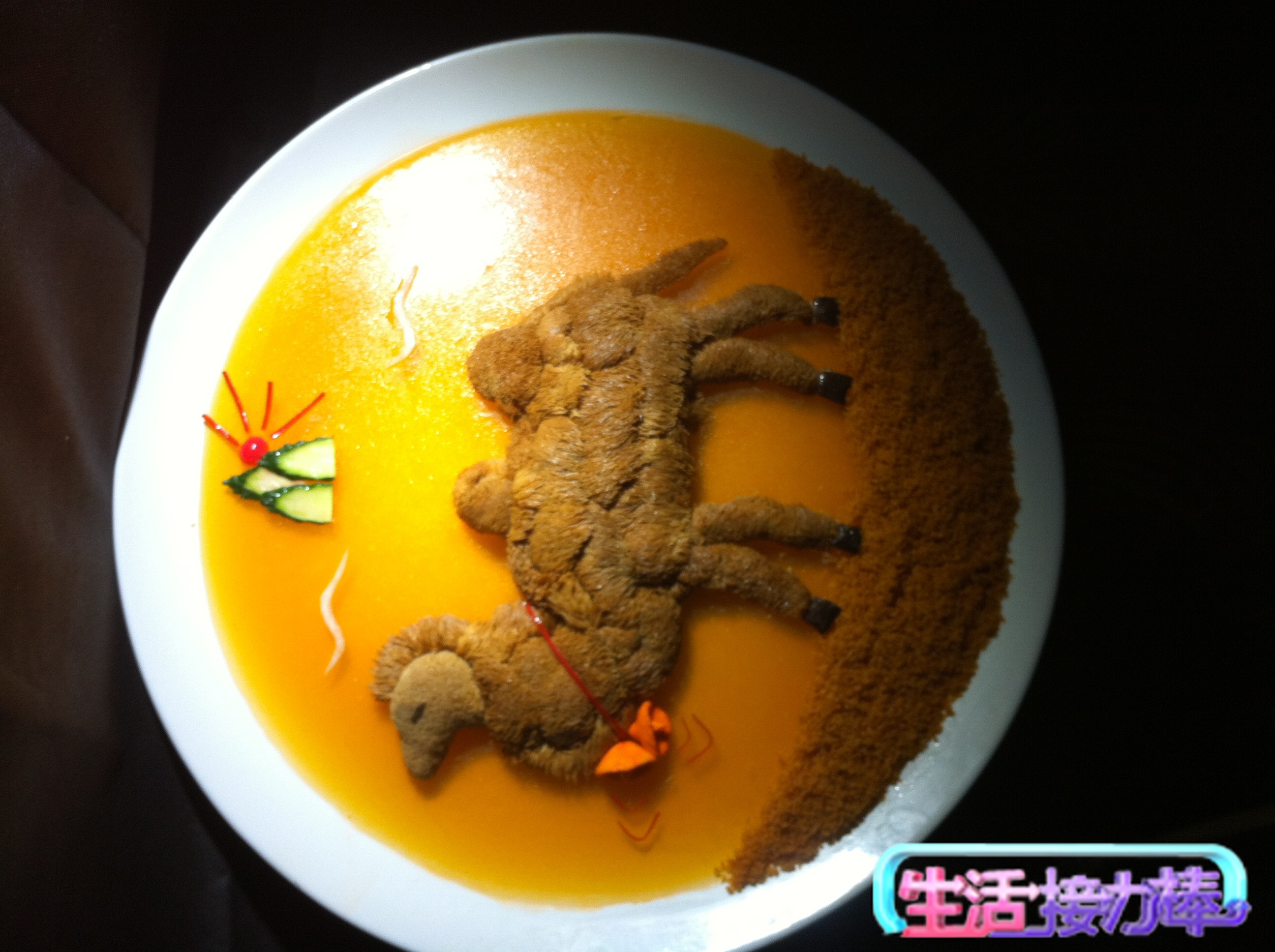 敦煌宴丝路驼铃 敦煌宴丝路驼铃