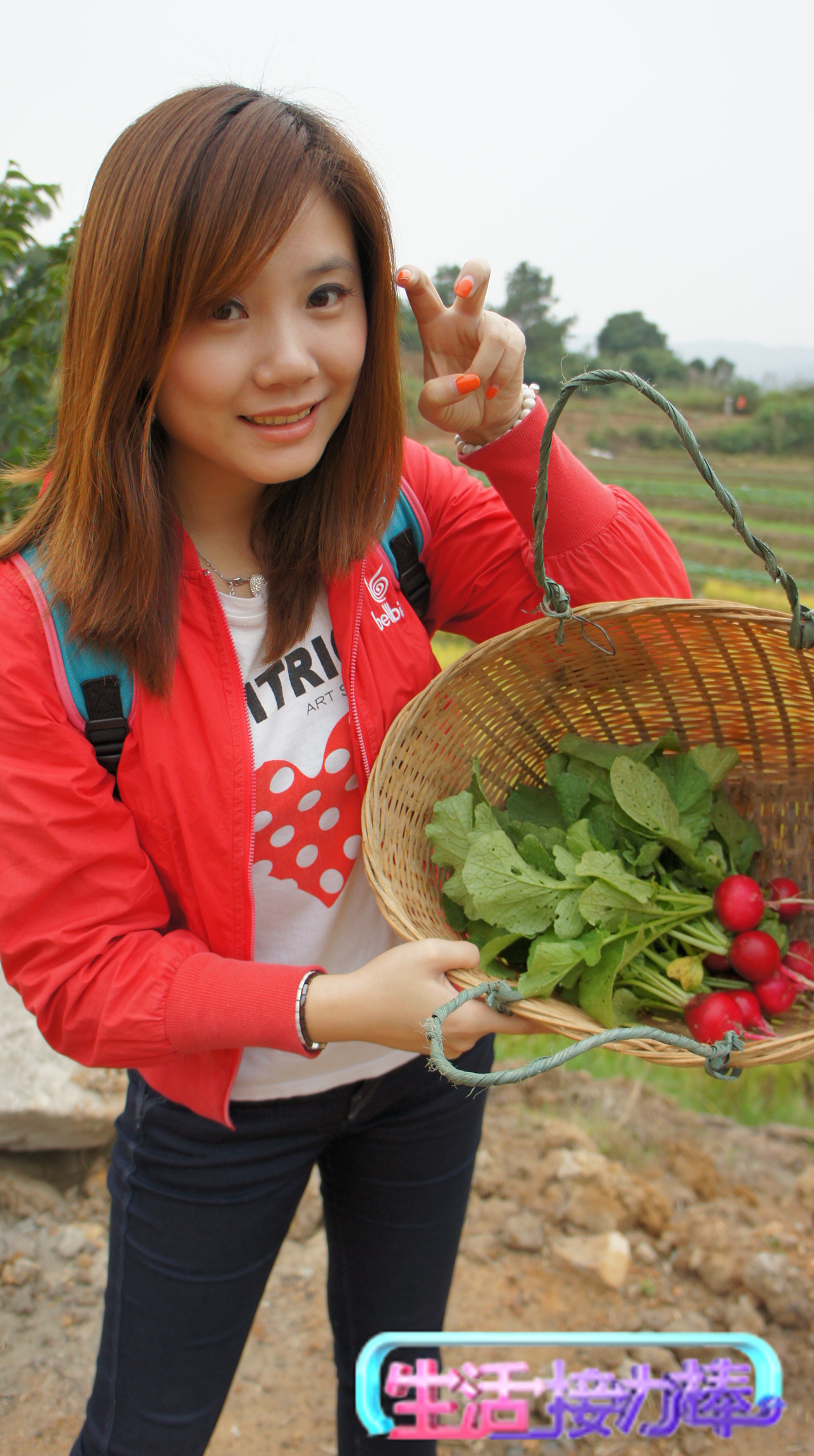 DSC04240 DSC04240
