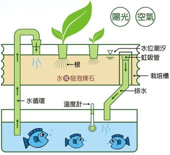 aquaponics.jpg