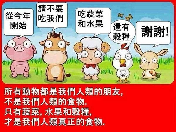 從今年開始請不要吃我們 從今年開始請不要吃我們