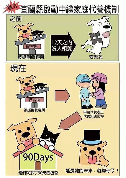 宜蘭縣啟動代養流浪動物 宜蘭縣啟動代養流浪動物