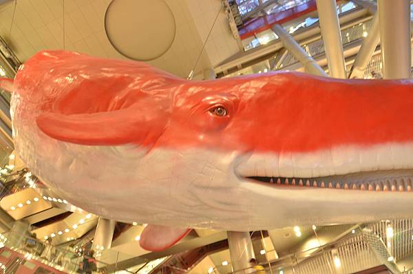 DSC_9600.JPG DSC_9600.JPG