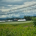 道中田園風光超棒的