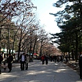 3-1.08 雪嶽山國家公園.jpg