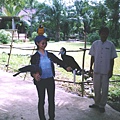 Bird Park 2.jpg