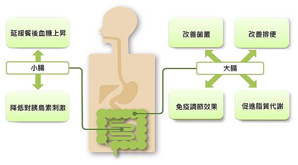 resistant maltodextrin-5.jpg resistant maltodextrin-5.jpg