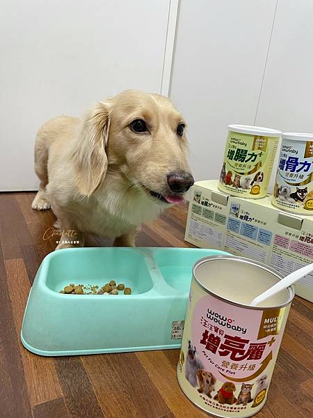 狗狗營養品推薦_汪汪寶⾙