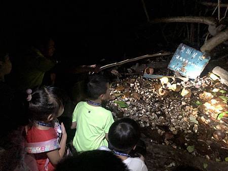 五天四夜小背包鐵道輕旅行