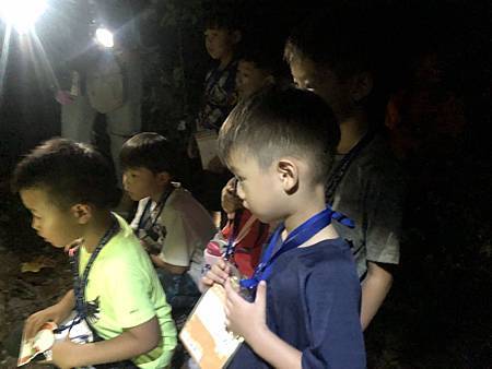 五天四夜小背包鐵道輕旅行