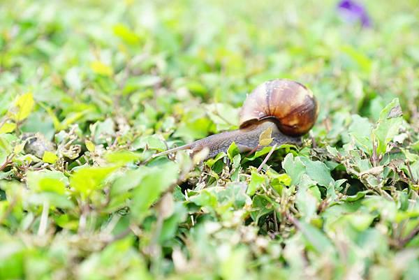 DSC02200 DSC02200