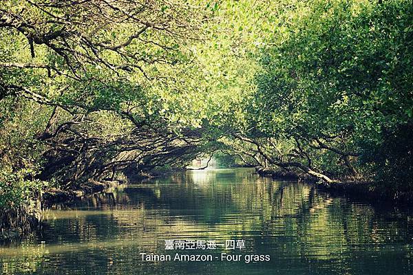 11826037_1465590700432133_9083101382842220255_n