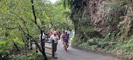 1120808杉林溪步道-莊榮東.jpg