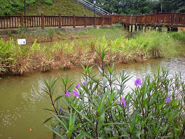 DSCN9015.jpg DSCN9015.jpg