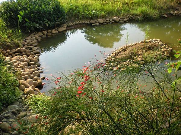 照片 005.jpg 照片 005.jpg