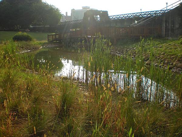 照片 021.jpg 照片 021.jpg