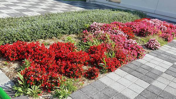 18422991_1414248111974333_7198210321843667063_o.jpg 18422991_1414248111974333_7198210321843667063_o.jpg