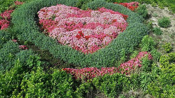 18320701_1414248115307666_2978025821061123096_o.jpg 18320701_1414248115307666_2978025821061123096_o.jpg