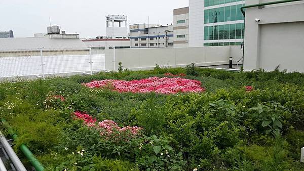 18403754_1414248108641000_5488176028204925075_o.jpg 18403754_1414248108641000_5488176028204925075_o.jpg