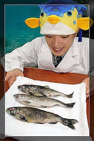 fish3 fish3