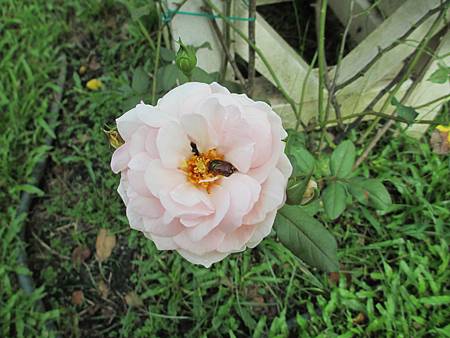 20140621_4 20140621_4