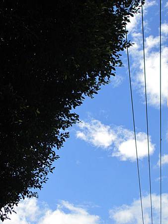 20150706_8 20150706_8