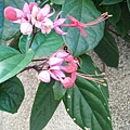 IMG_20170130_111402_620.jpg