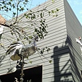 IMG_20171215_063257_052.jpg