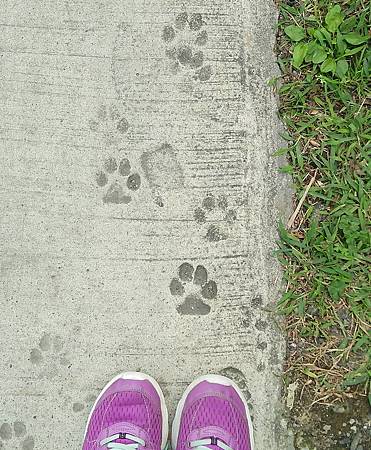 IMG_20171221_210128_135.jpg IMG_20171221_210128_135.jpg