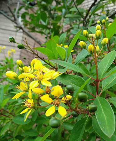 IMG_20171221_210128_136.jpg IMG_20171221_210128_136.jpg