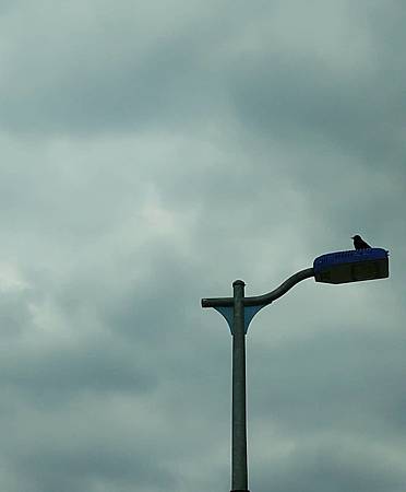 IMG_20171221_210128_138.jpg IMG_20171221_210128_138.jpg