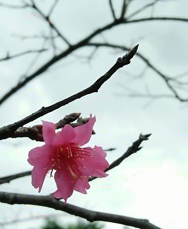 IMG_20171221_210128_137.jpg IMG_20171221_210128_137.jpg