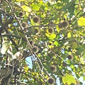 IMG20180116091318.jpg