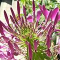 IMG_20180411_211257_575.jpg