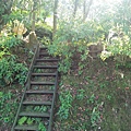 IMG20181028091015.jpg