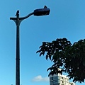 420186986_10160302122549355_1381208485227395006_n.jpg