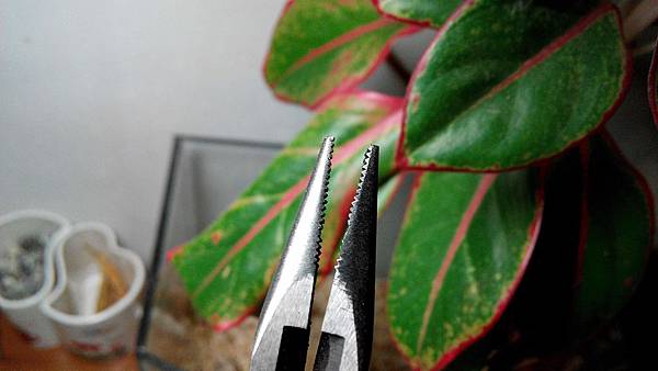 SR916sw 20180601 (1) SR916sw 20180601 (1)